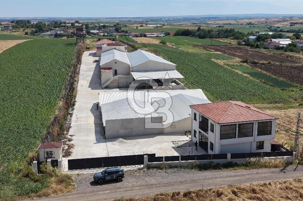 Lüleburgaz Sarıcaali Köyü Kiralık 9.600 M2 Çiftlik