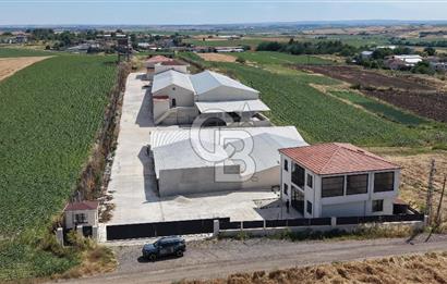 Lüleburgaz Sarıcaali Köyü Kiralık 9.600 M2 Çiftlik