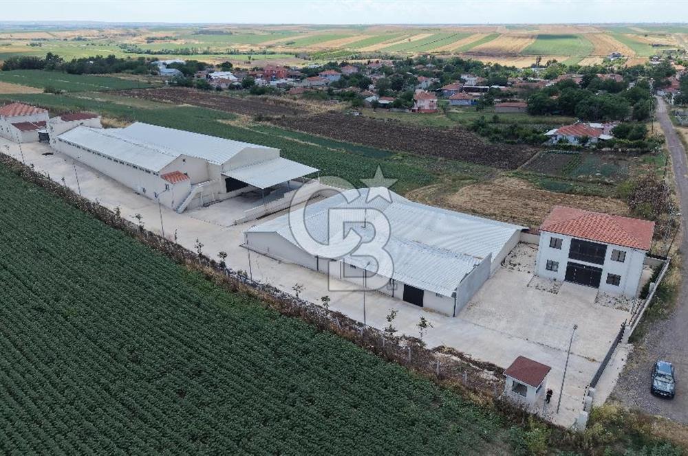 Lüleburgaz Sarıcaali Köyü Kiralık 9.600 M2 Çiftlik