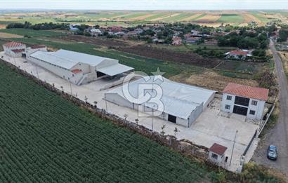 Lüleburgaz Sarıcaali Köyü Kiralık 9.600 M2 Çiftlik