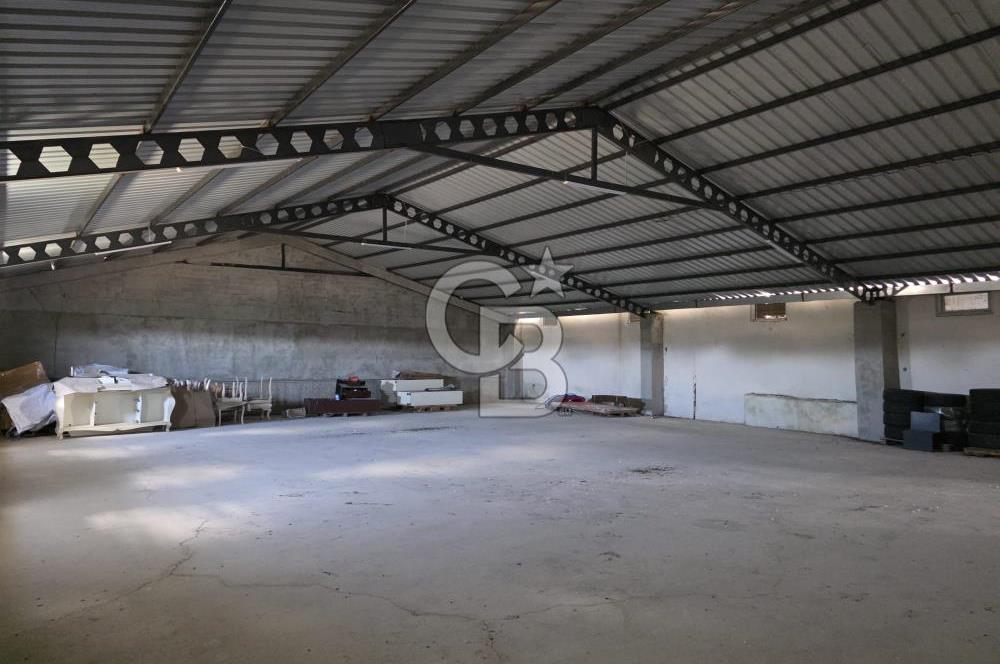 Lüleburgaz Sarıcaali Köyü Kiralık 9.600 M2 Çiftlik