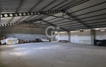 Lüleburgaz Sarıcaali Köyü Kiralık 9.600 M2 Çiftlik