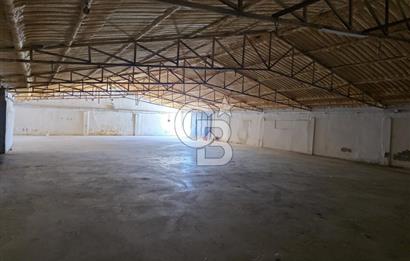 Lüleburgaz Sarıcaali Köyü Kiralık 9.600 M2 Çiftlik