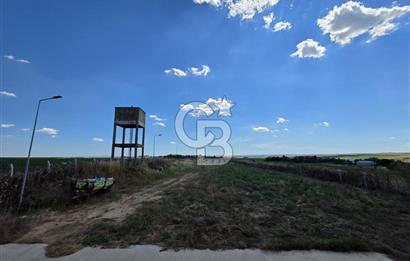 Lüleburgaz Sarıcaali Köyü Kiralık 9.600 M2 Çiftlik