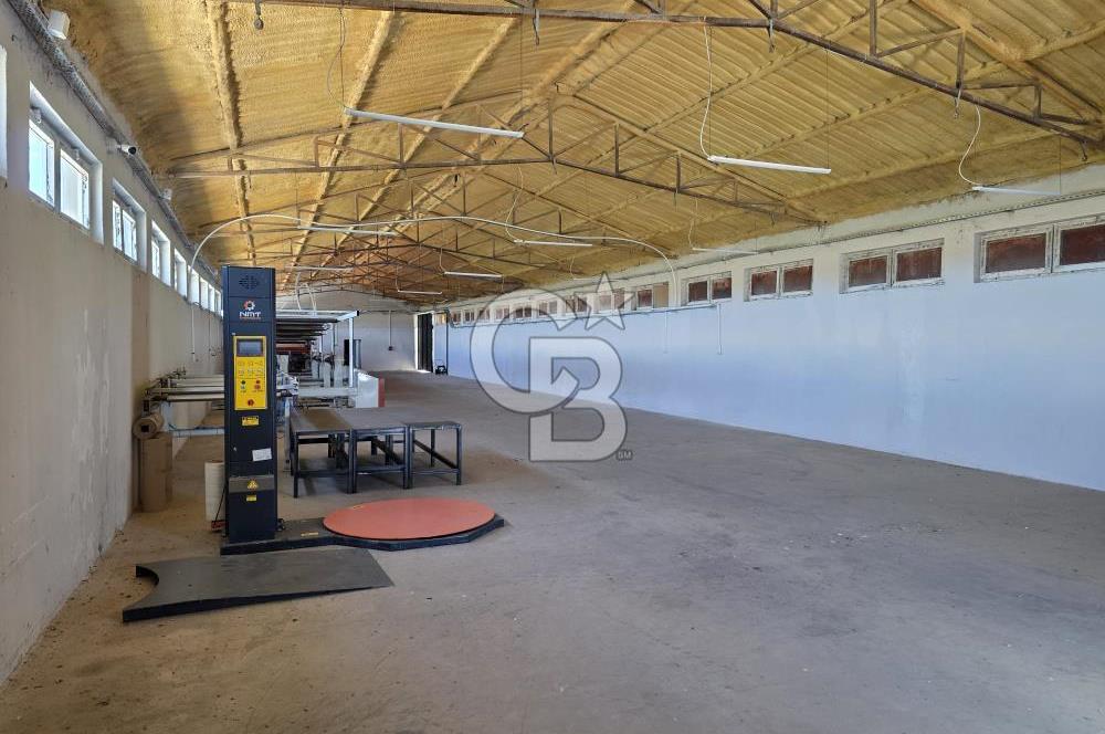 Lüleburgaz Sarıcaali Köyü Kiralık 9.600 M2 Çiftlik