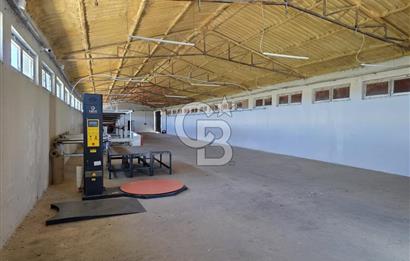 Lüleburgaz Sarıcaali Köyü Kiralık 9.600 M2 Çiftlik