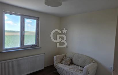 Lüleburgaz Sarıcaali Köyü Kiralık 9.600 M2 Çiftlik