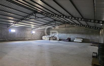 Lüleburgaz Sarıcaali Köyü Kiralık 9.600 M2 Çiftlik