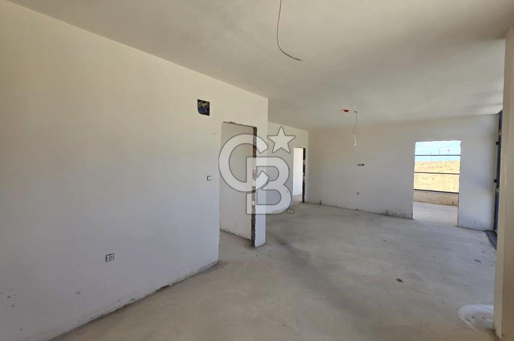 Lüleburgaz Sarıcaali Köyü Kiralık 9.600 M2 Çiftlik