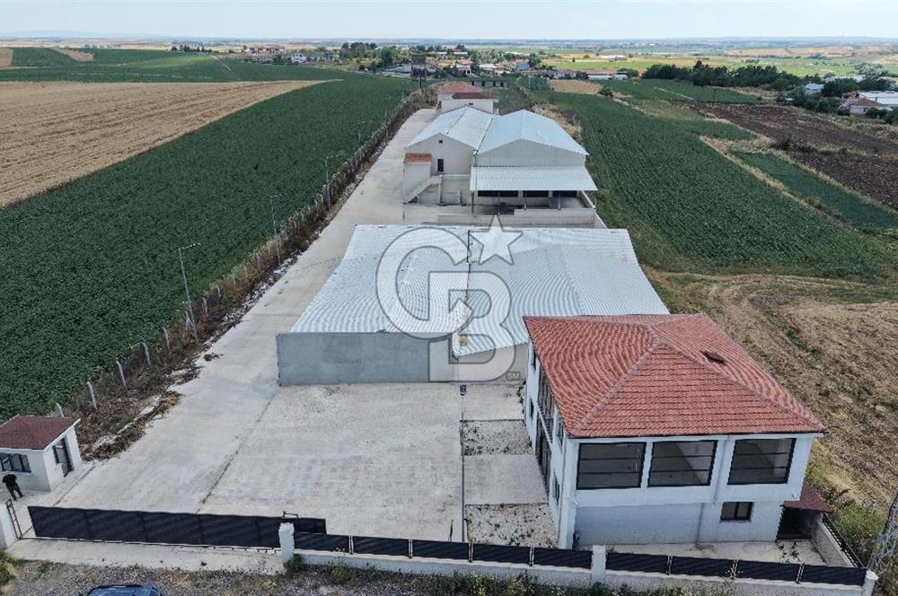 Lüleburgaz Sarıcaali Köyü Kiralık 9.600 M2 Çiftlik