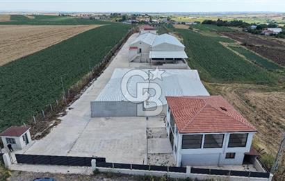 Lüleburgaz Sarıcaali Köyü Kiralık 9.600 M2 Çiftlik