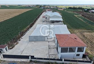 Lüleburgaz Sarıcaali Köyü Kiralık 9.600 M2 Çiftlik - 6 - 352902