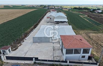 Lüleburgaz Sarıcaali Köyü Kiralık 9.600 M2 Çiftlik
