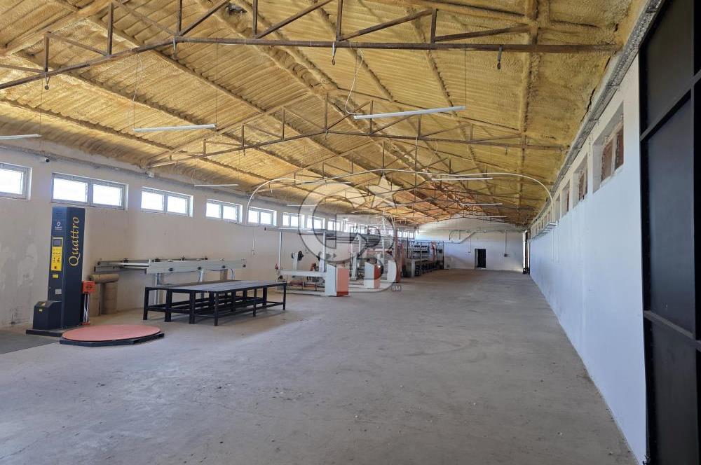 Lüleburgaz Sarıcaali Köyü Kiralık 9.600 M2 Çiftlik