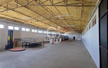 Lüleburgaz Sarıcaali Köyü Kiralık 9.600 M2 Çiftlik