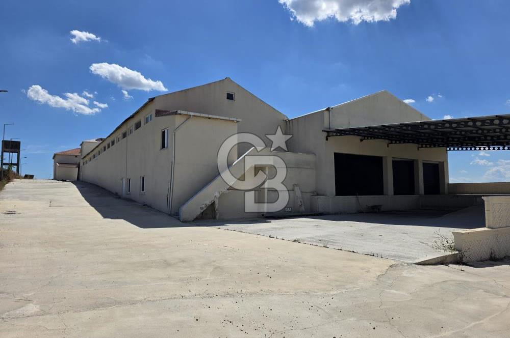 Lüleburgaz Sarıcaali Köyü Kiralık 9.600 M2 Çiftlik