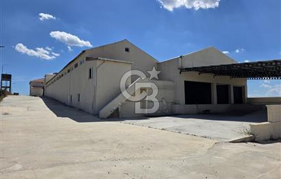 Lüleburgaz Sarıcaali Köyü Kiralık 9.600 M2 Çiftlik