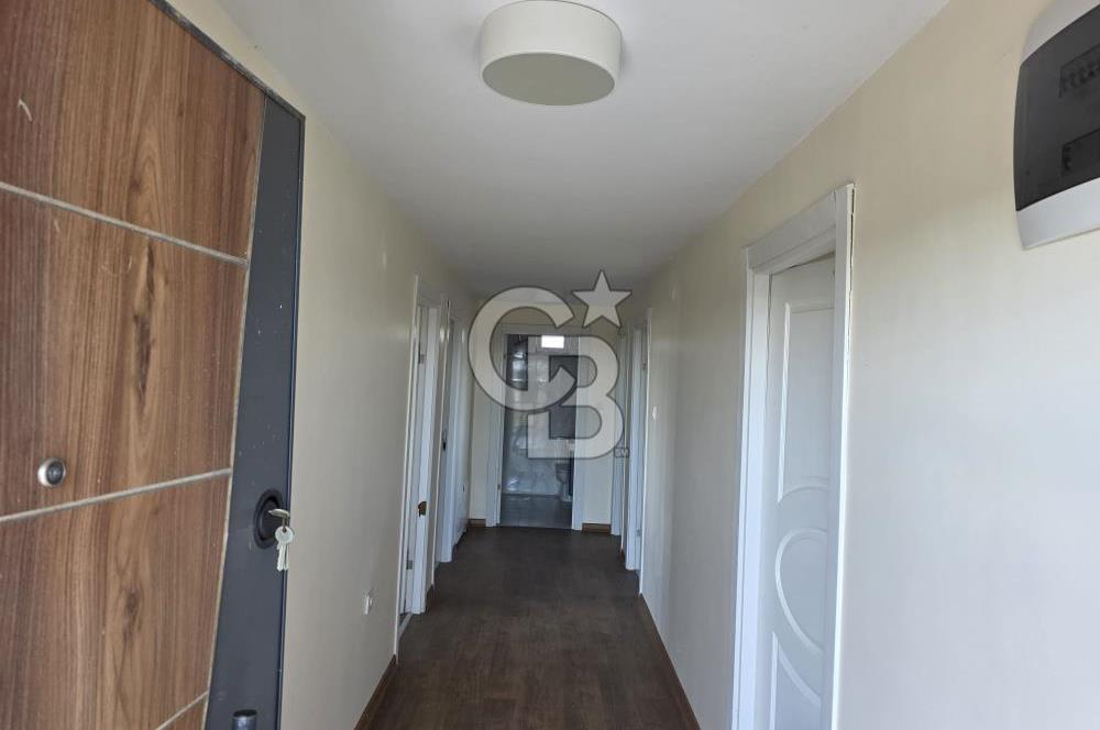Lüleburgaz Sarıcaali Köyü Kiralık 9.600 M2 Çiftlik