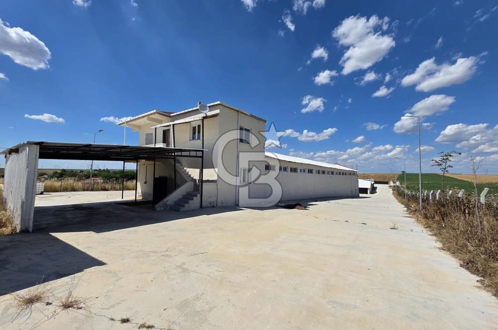 Lüleburgaz Sarıcaali Köyü Kiralık 9.600 M2 Çiftlik