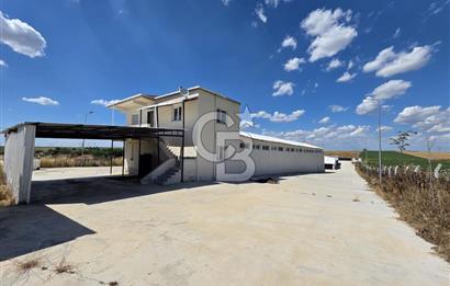 Lüleburgaz Sarıcaali Köyü Kiralık 9.600 M2 Çiftlik