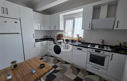Lüleburgaz Sarıcaali Köyü Kiralık 9.600 M2 Çiftlik
