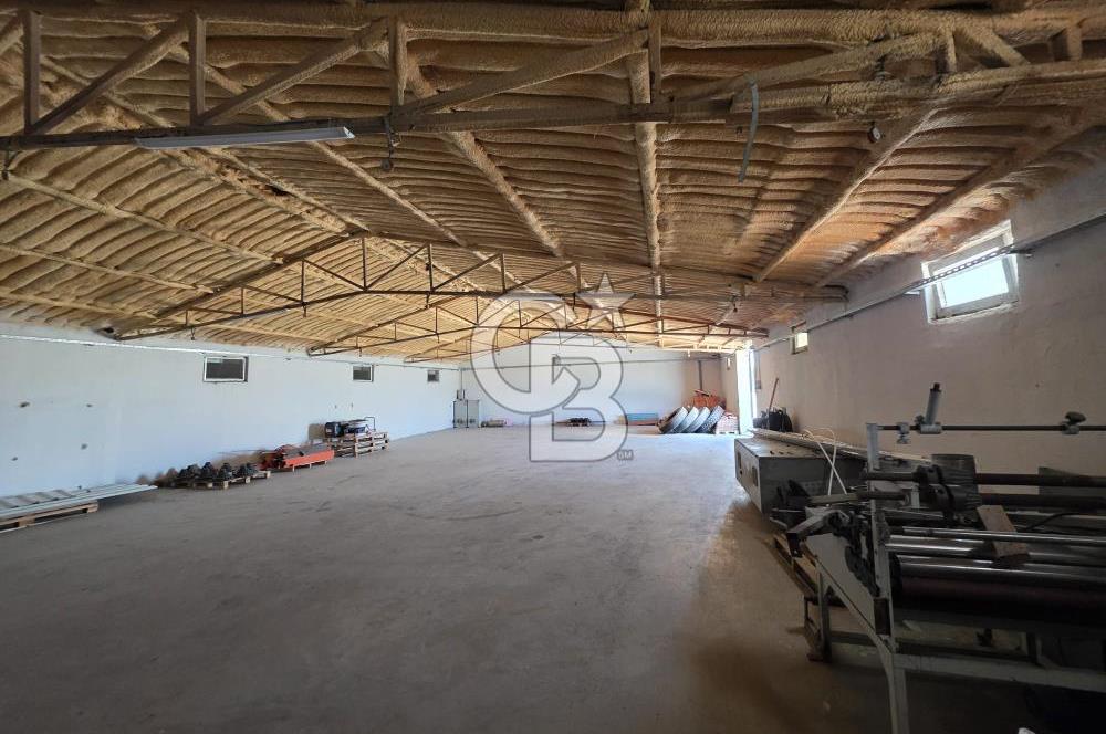 Lüleburgaz Sarıcaali Köyü Kiralık 9.600 M2 Çiftlik
