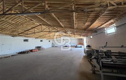 Lüleburgaz Sarıcaali Köyü Kiralık 9.600 M2 Çiftlik