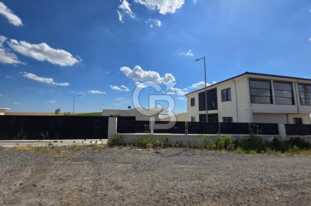 Lüleburgaz Sarıcaali Köyü Kiralık 9.600 M2 Çiftlik