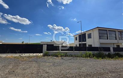 Lüleburgaz Sarıcaali Köyü Kiralık 9.600 M2 Çiftlik