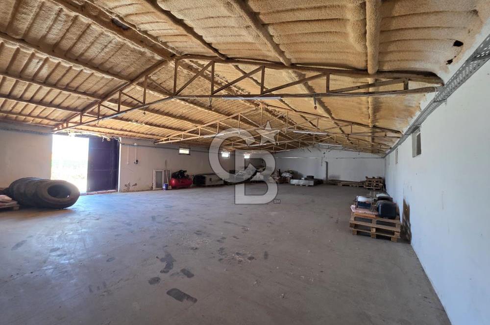 Lüleburgaz Sarıcaali Köyü Kiralık 9.600 M2 Çiftlik