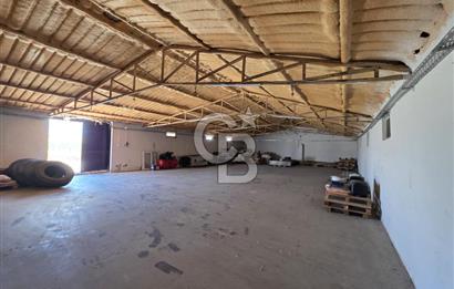 Lüleburgaz Sarıcaali Köyü Kiralık 9.600 M2 Çiftlik