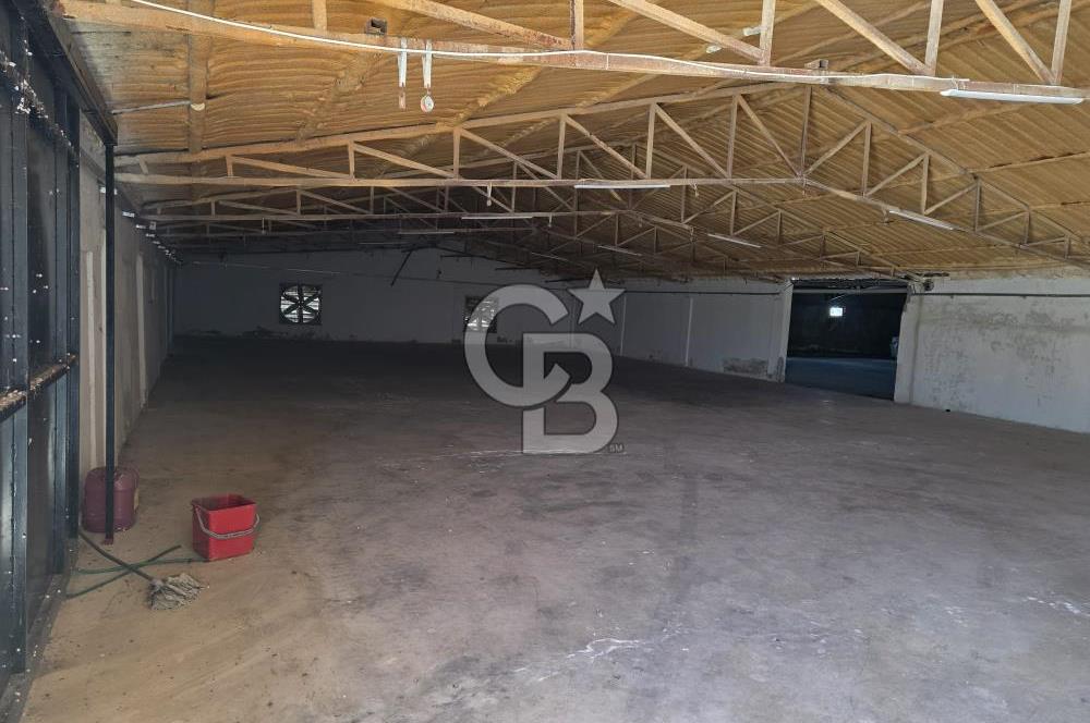 Lüleburgaz Sarıcaali Köyü Kiralık 9.600 M2 Çiftlik