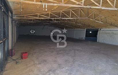Lüleburgaz Sarıcaali Köyü Kiralık 9.600 M2 Çiftlik