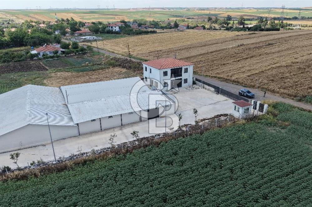 Lüleburgaz Sarıcaali Köyü Kiralık 9.600 M2 Çiftlik