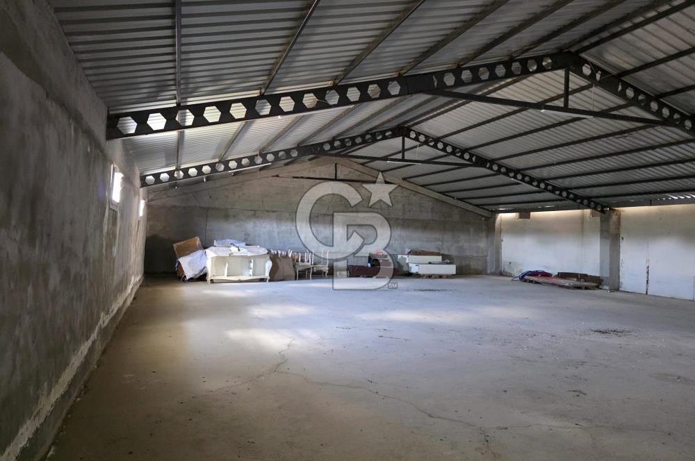 Lüleburgaz Sarıcaali Köyü Kiralık 9.600 M2 Çiftlik