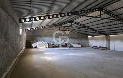 Lüleburgaz Sarıcaali Köyü Kiralık 9.600 M2 Çiftlik