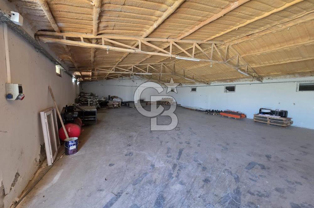 Lüleburgaz Sarıcaali Köyü Kiralık 9.600 M2 Çiftlik