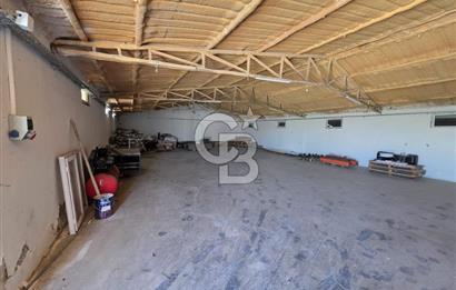 Lüleburgaz Sarıcaali Köyü Kiralık 9.600 M2 Çiftlik
