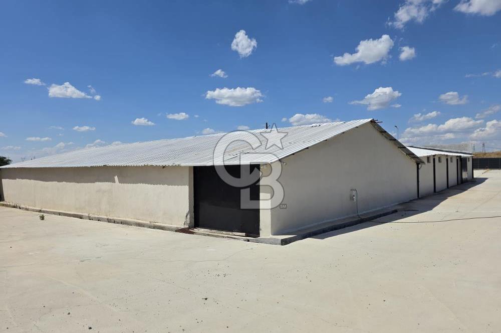 Lüleburgaz Sarıcaali Köyü Kiralık 9.600 M2 Çiftlik