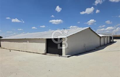 Lüleburgaz Sarıcaali Köyü Kiralık 9.600 M2 Çiftlik