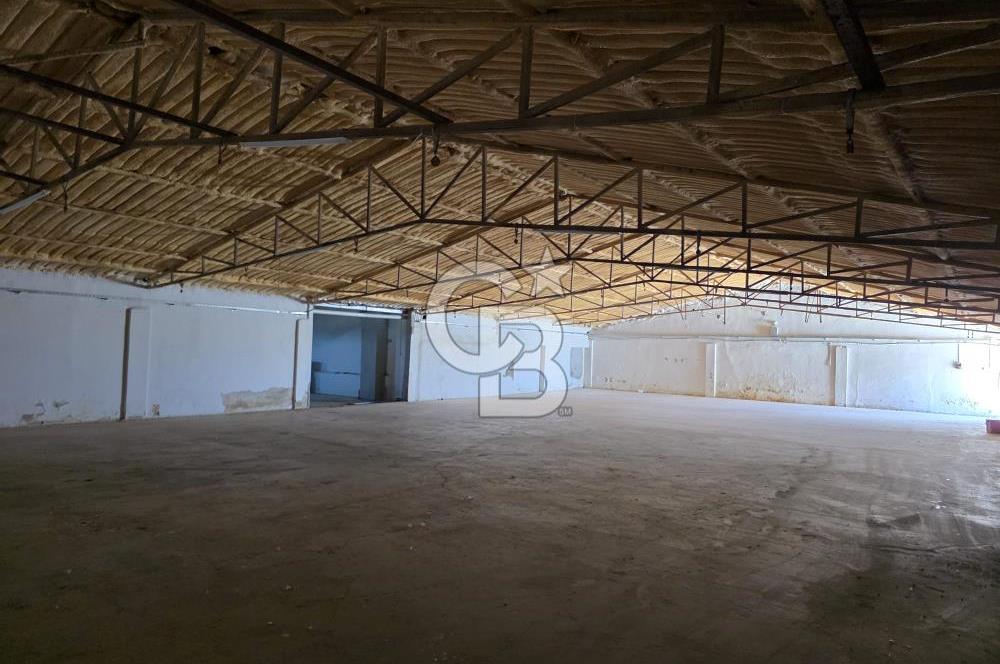 Lüleburgaz Sarıcaali Köyü Kiralık 9.600 M2 Çiftlik