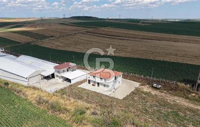 Lüleburgaz Sarıcaali Köyü Kiralık 9.600 M2 Çiftlik