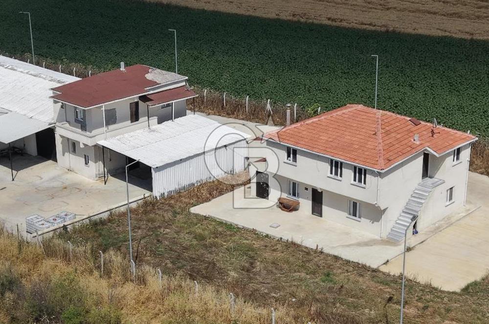 Lüleburgaz Sarıcaali Köyü Kiralık 9.600 M2 Çiftlik