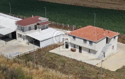 Lüleburgaz Sarıcaali Köyü Kiralık 9.600 M2 Çiftlik
