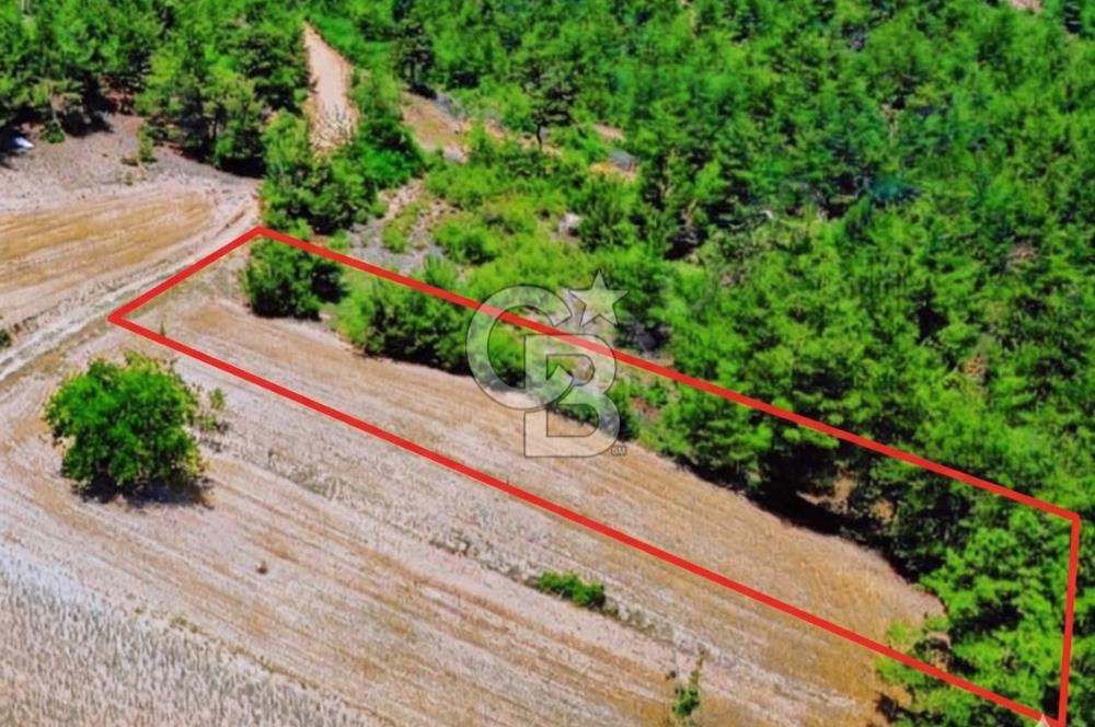 Doğa Severler ve Yatırımcılar Fırsat! Müstakil Parsel 1237 m2