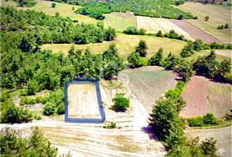 Doğa Severler ve Yatırımcılar Fırsat! Müstakil Parsel 1237 m2 - 3 - 352884