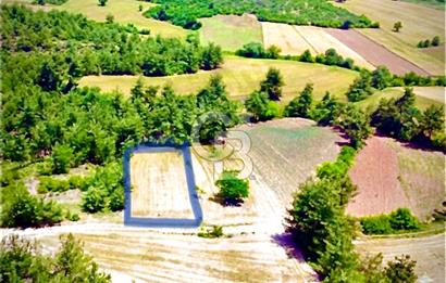 Doğa Severler ve Yatırımcılar Fırsat! Müstakil Parsel 1237 m2