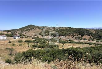 İZMİR DİKİLİ ÇANDARLI VİLLA İMARLI FIRSAT ARSA YAYLAYURT KÖYÜ YAKINI - 1 - 352904