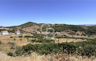 İZMİR DİKİLİ ÇANDARLI VİLLA İMARLI FIRSAT ARSA YAYLAYURT KÖYÜ YAKINI