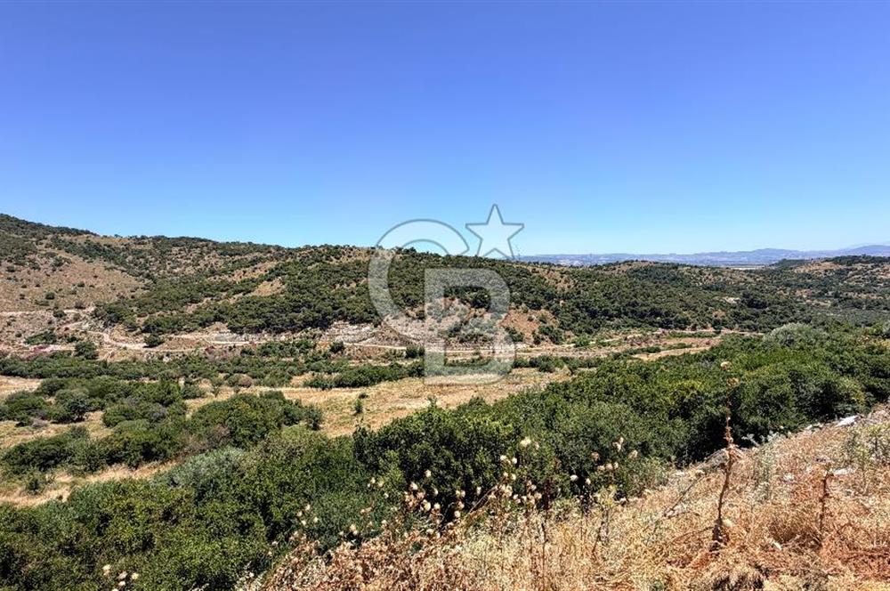 İZMİR DİKİLİ ÇANDARLI VİLLA İMARLI FIRSAT ARSA YAYLAYURT KÖYÜ YAKINI